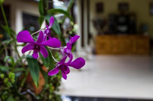 Ubud Tri Upasedana House 2 เตกากาลัง ภายนอก รูปภาพ