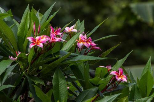 Ubud Tri Upasedana House 2 เตกากาลัง ภายนอก รูปภาพ
